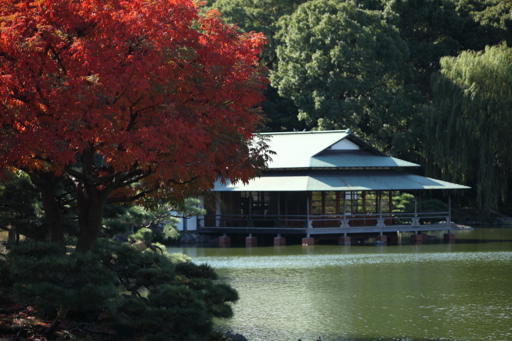 「　清澄の赤　」　清澄庭園_f0164989_23502017.jpg