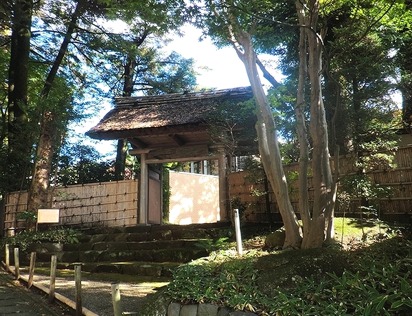 小田原「古稀庵」_e0143690_2153032.jpg