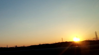 北欧家具とお花_d0249193_21145482.jpg