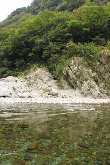 e0061694_80632.jpg