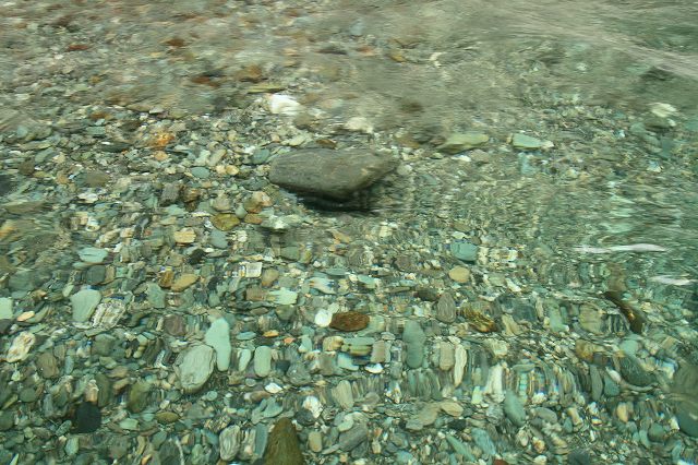 e0061694_82694.jpg