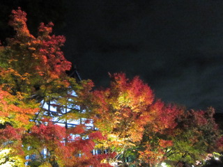 b0232400_11585645.jpg