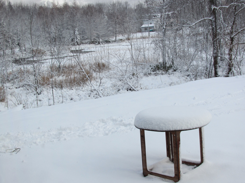 昨日、初雪…1日にして冬景色_b0277500_11132080.jpg