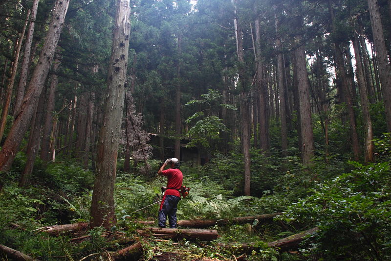 木こり生活　福井県九頭竜　１_c0248100_22472346.jpg