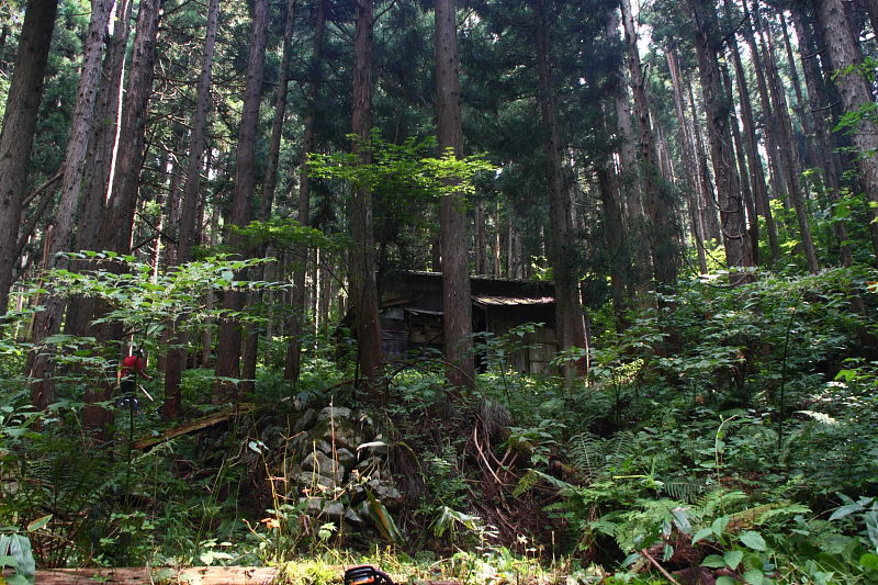 木こり生活　福井県九頭竜　１_c0248100_2247666.jpg