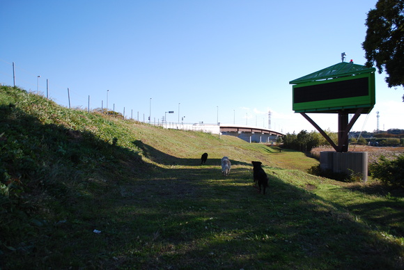 f0109202_11423819.jpg
