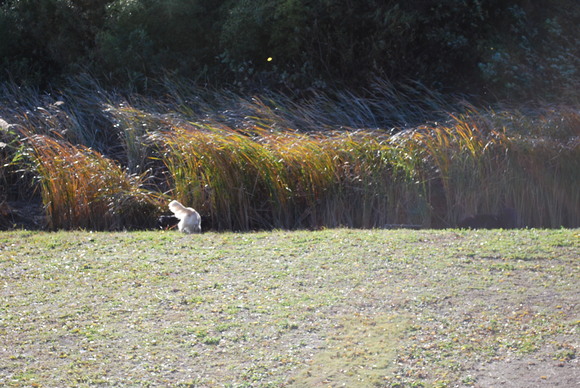 f0109202_11444345.jpg