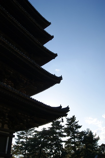 秋の奈良公園_a0122205_1455083.jpg