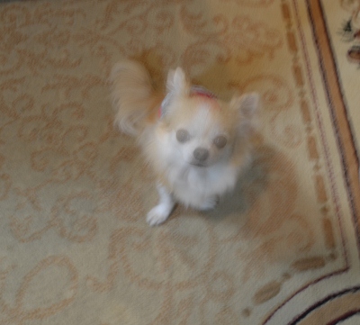 c0132205_8285672.jpg