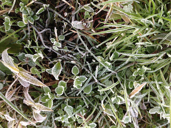 c0105306_16281639.jpg