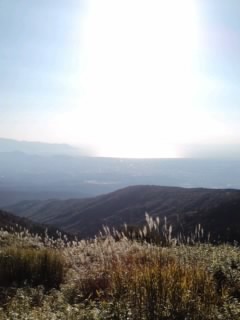 b0085408_22511857.jpg