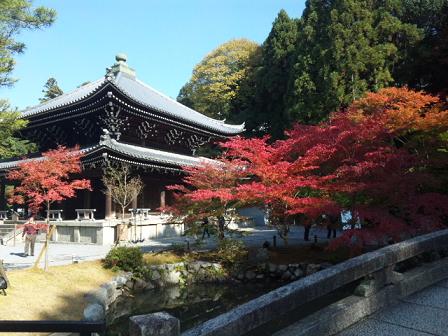 京都で紅葉_e0000408_22483950.jpg