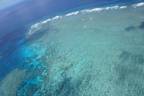 b0112909_11561790.jpg