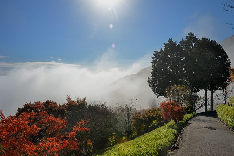 2012京都の紅葉・善峰寺　其の二_f0032011_19441481.jpg