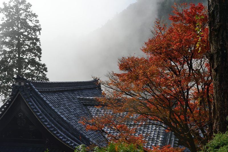 2012京都の紅葉・善峰寺　其の二_f0032011_1944246.jpg