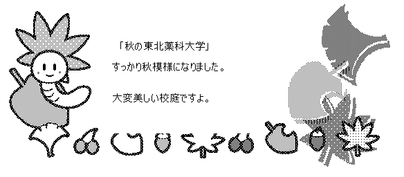 東北薬科大もすっかり秋模様 ドラッグサポートの風景