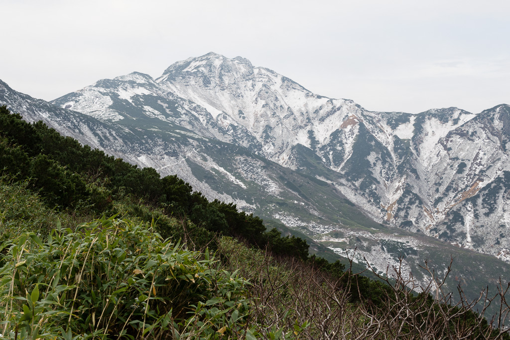 上ホロ・薄く雪化粧　- 2 -_c0073613_032596.jpg