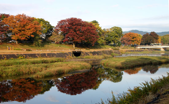 鴨川河畔　ラジオ体操など_e0048413_2135683.jpg