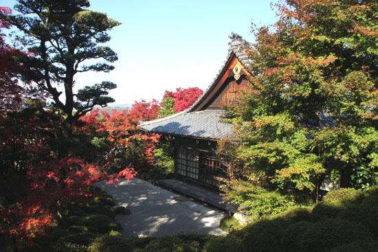 紅葉だより24 金福寺(こんぷくじ)_e0048413_22101772.jpg