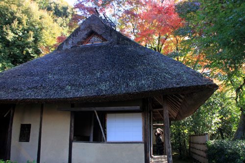 紅葉だより24 金福寺(こんぷくじ)_e0048413_22103447.jpg