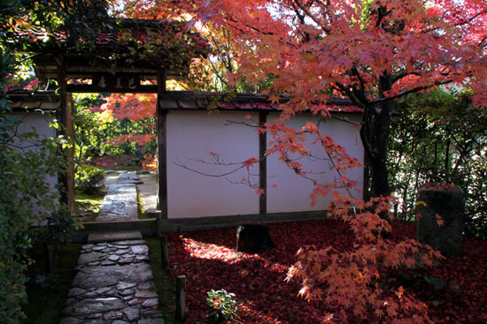 紅葉だより24 金福寺(こんぷくじ)_e0048413_2292579.jpg