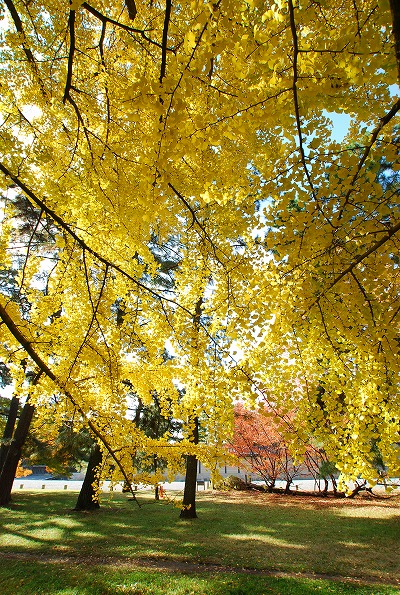 a0114714_15104877.jpg