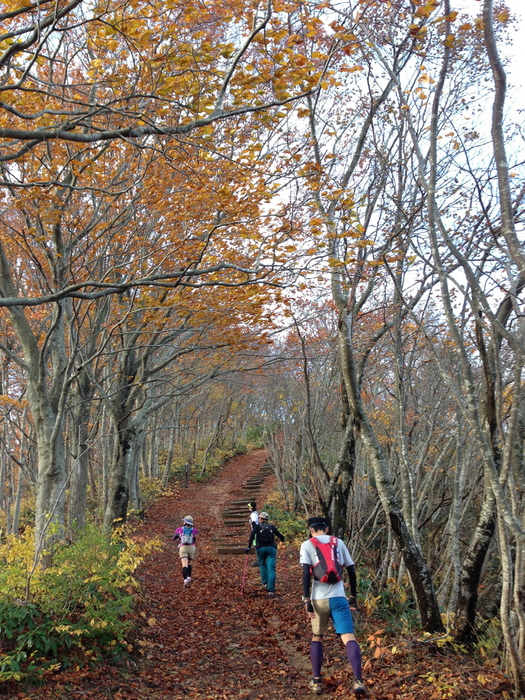 西蒲三山50k 2012,11,11_f0225414_961824.jpg