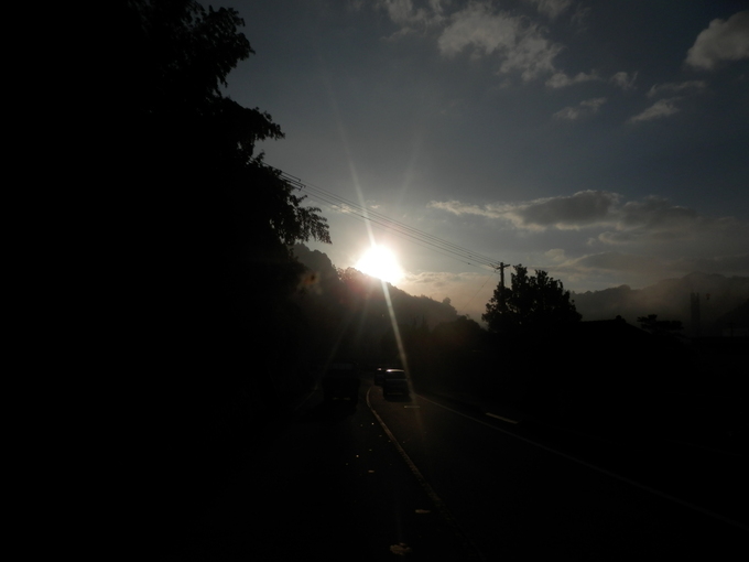 a0125419_80854.jpg