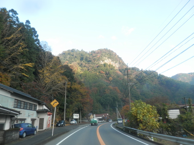 a0125419_81897.jpg