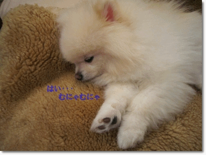 b0167519_1045347.gif
