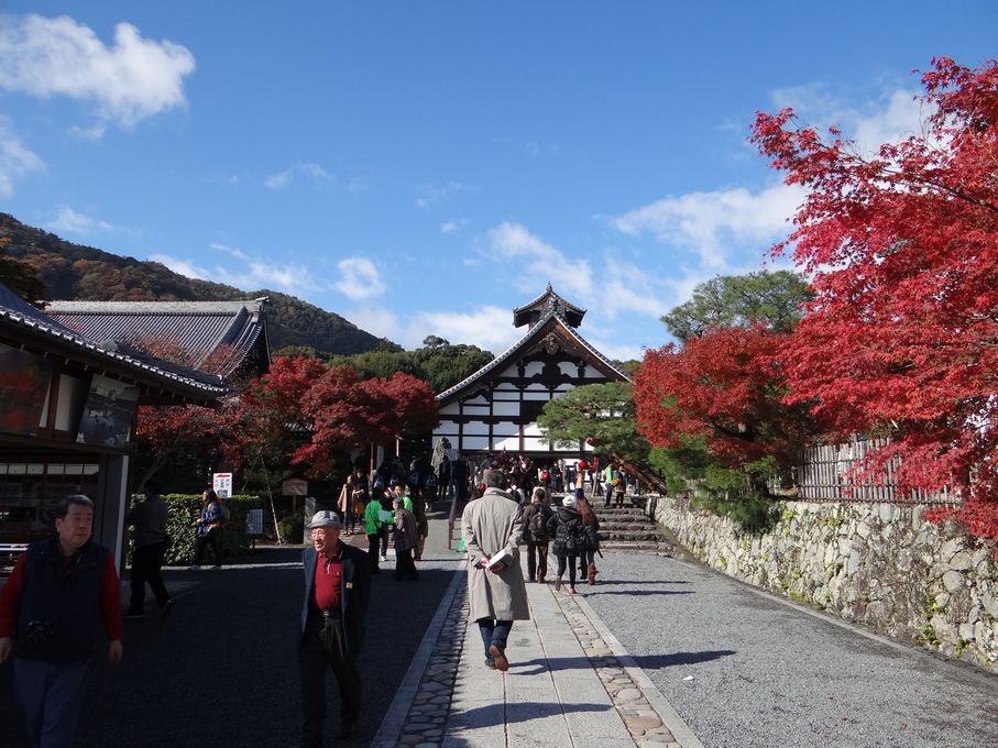 天龍寺　弘源寺_f0004019_21455276.jpg