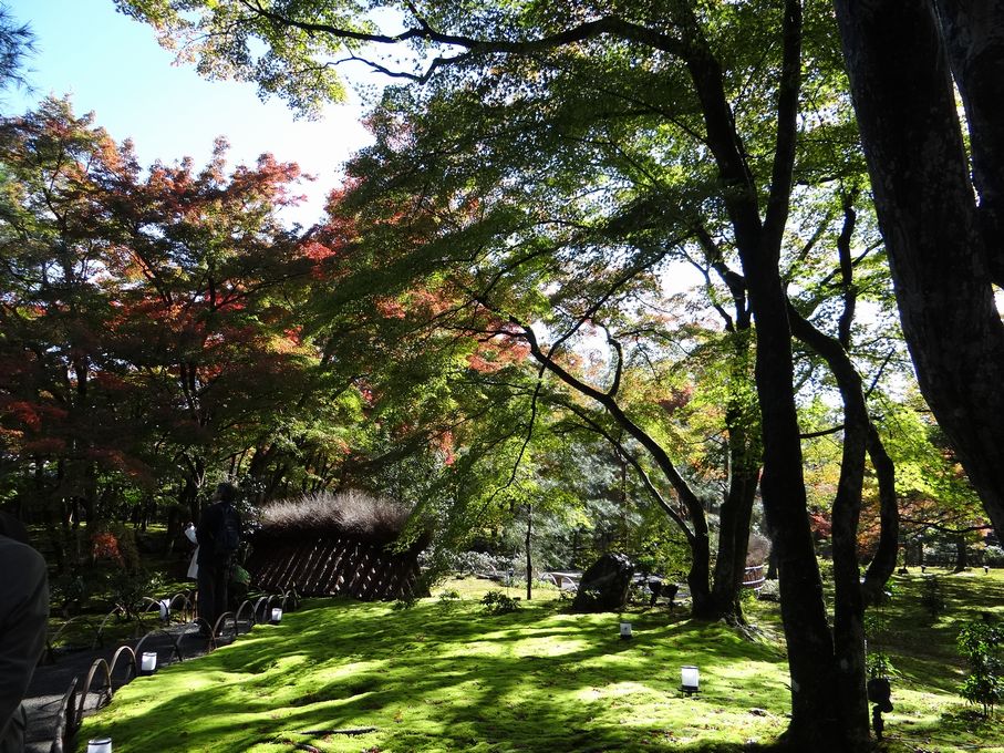 そうだ！京都に行こう！＜渡月橋　宝厳院＞_f0004019_9122073.jpg