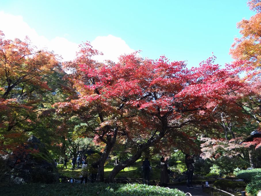 そうだ！京都に行こう！＜渡月橋　宝厳院＞_f0004019_9142071.jpg