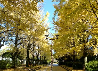 e0255020_23244888.jpg