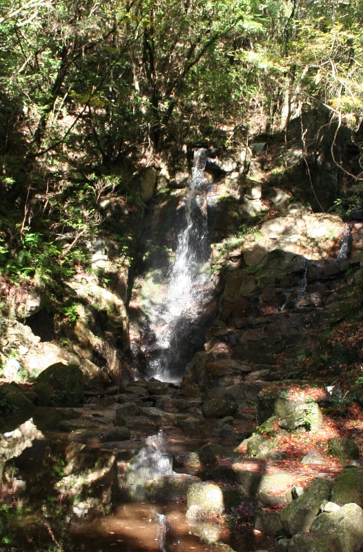 d0181824_13464255.jpg