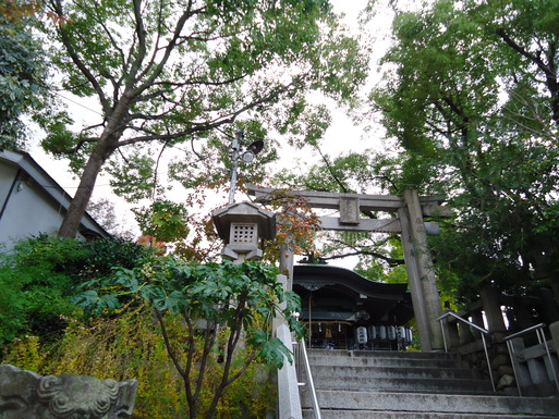 d0225727_9221.jpg
