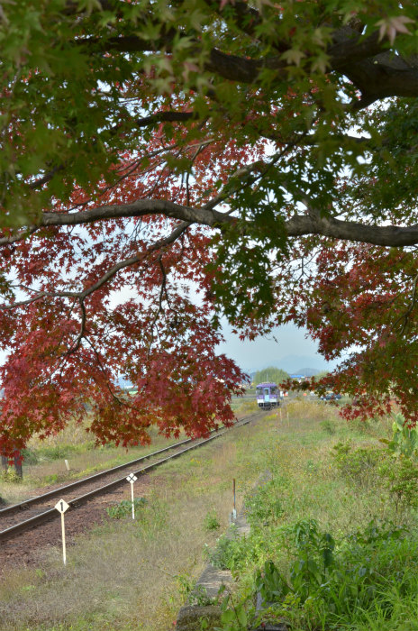 北条鉄道「法華口」_e0255927_21321335.jpg