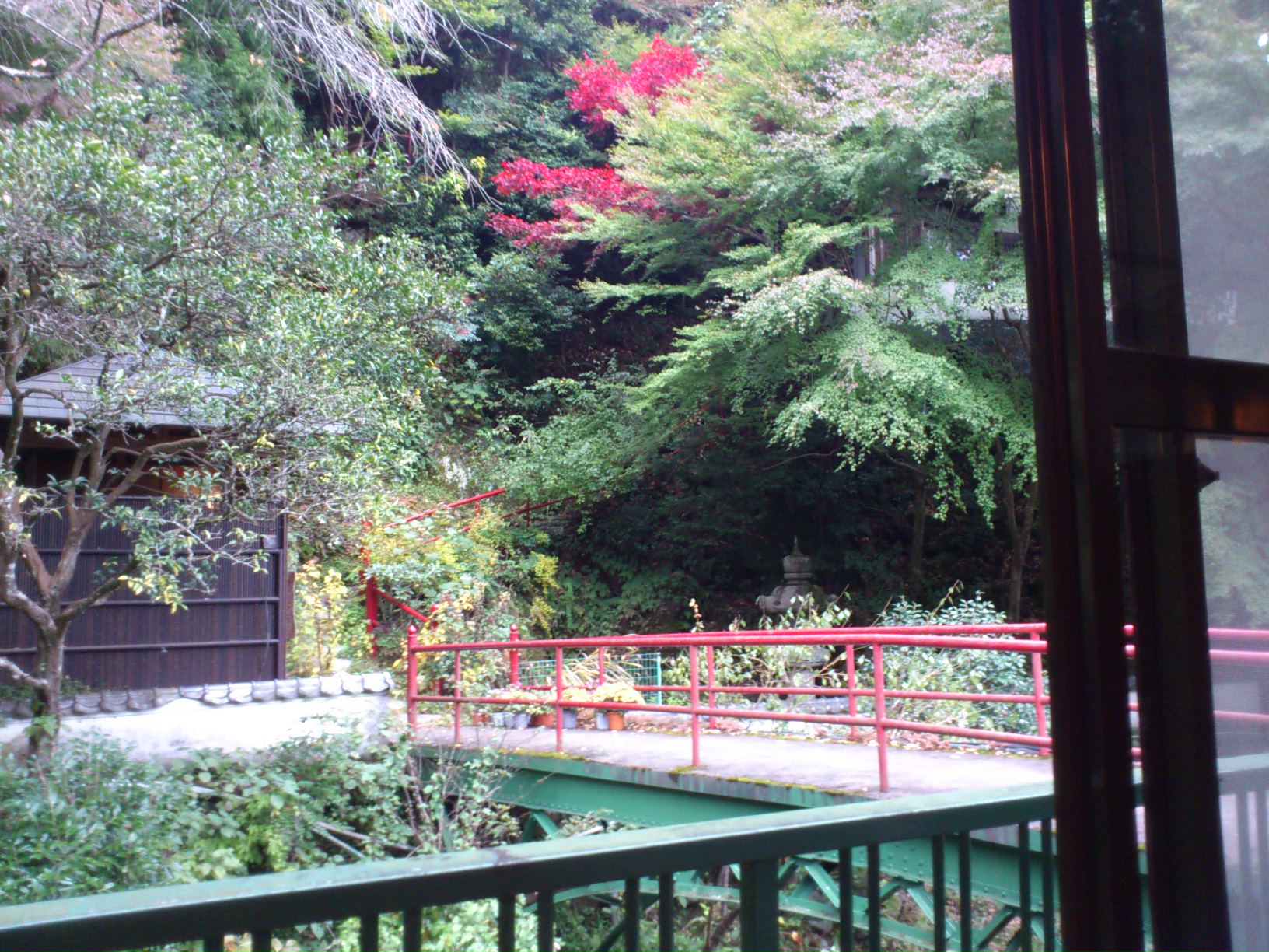 c0035233_233660.jpg