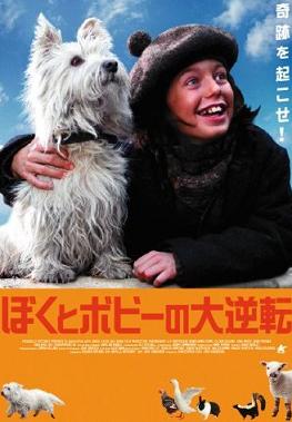 犬関連の映画・本_c0099133_10271533.jpg