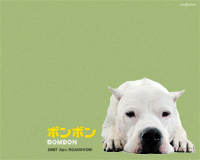 犬の出てくる映画「ボンボン」_c0099133_10272461.jpg
