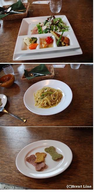 滋賀県の犬OKカフェ 「Rカフェ」_c0099133_10272980.jpg