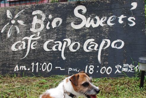 リベンジ 「Bio sweet\'s capo.capo 菓歩菓歩」 in 京都_c0099133_10274384.jpg