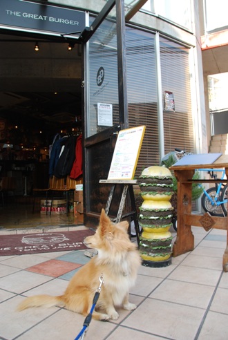 店内犬OKのお店 「グレートバーガー」_c0099133_1028092.jpg