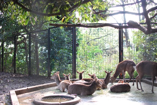 夢見ヶ崎動物公園_c0099133_10281127.jpg