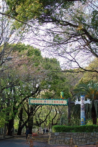 夢見ヶ崎動物公園_c0099133_1028816.jpg