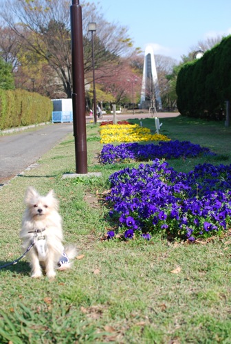 夢見ヶ崎動物公園_c0099133_1028858.jpg