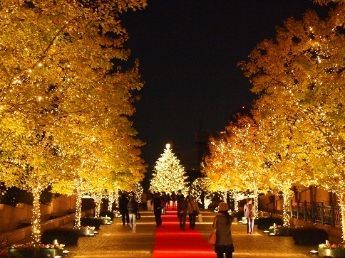 クリスマスイルミネーションの季節です　/　恵比寿ガーデンプレイス＆ウェスティンホテル東京_c0249236_1955217.jpg