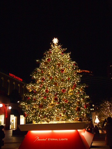 クリスマスイルミネーションの季節です　/　恵比寿ガーデンプレイス＆ウェスティンホテル東京_c0249236_2015064.jpg