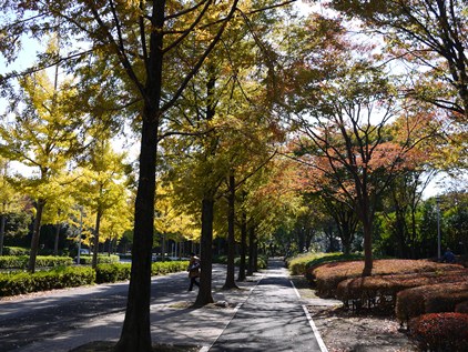 富岡　秋の散歩道_f0232136_1144054.jpg