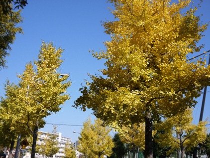 f0232136_11441114.jpg
